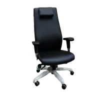 High Back Cushion Chair