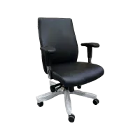 Mid Back Chair