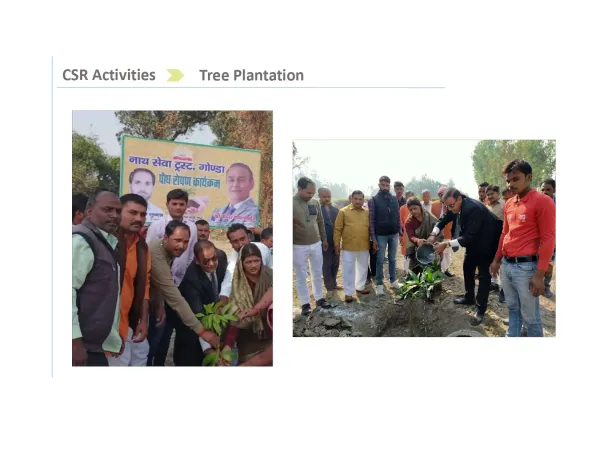 Tree Plantation