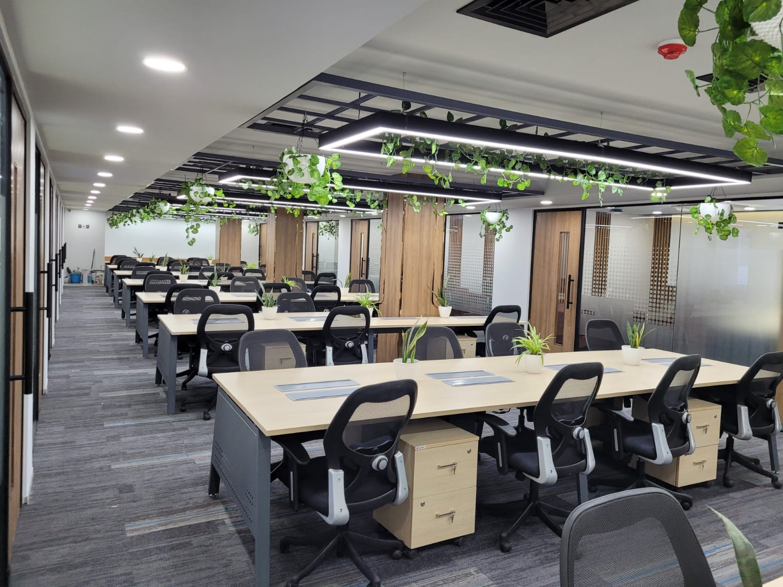 Policy Bazaar - Delhi (3)