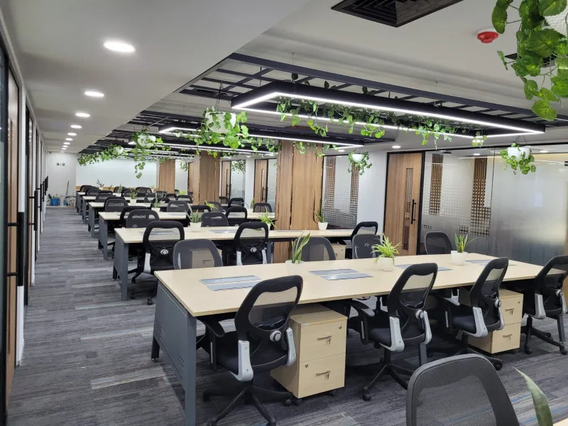 Policy Bazaar - Delhi (3)